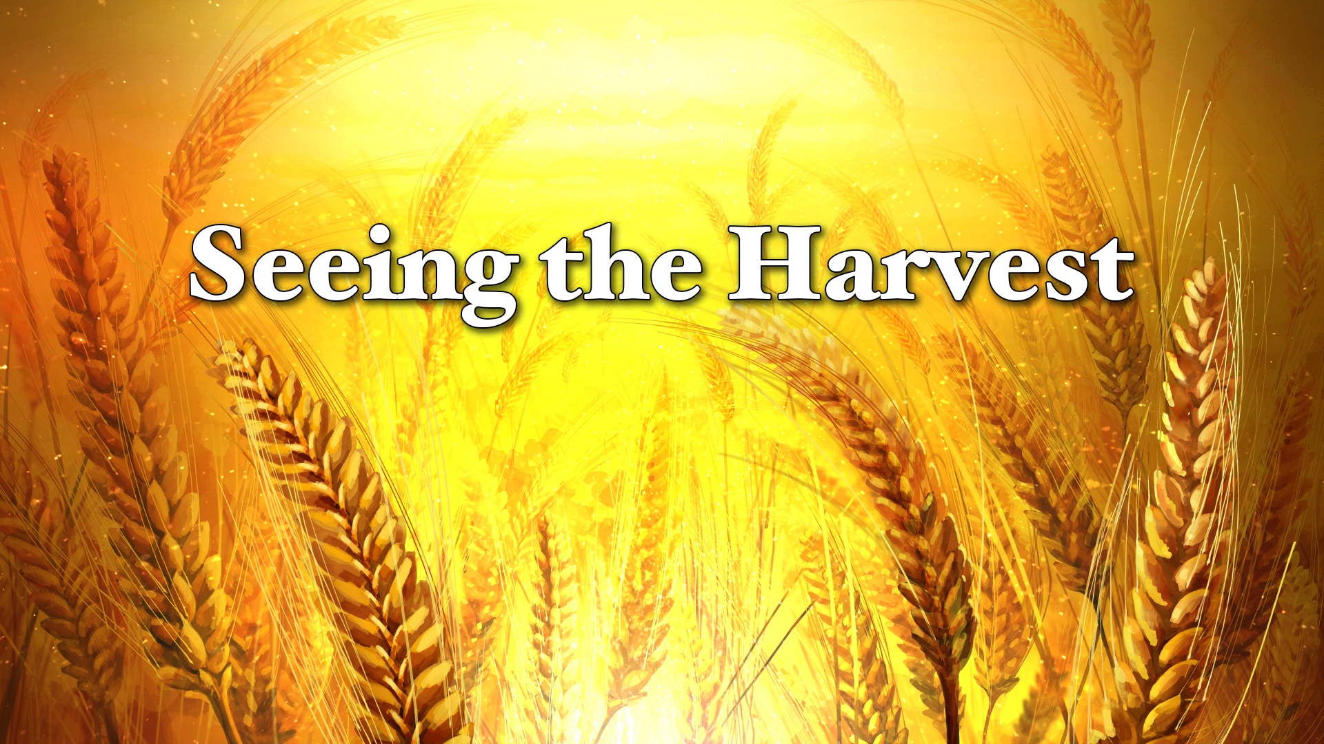 seeing-the-harvest-june-4th-2023-crosspoint-church-online