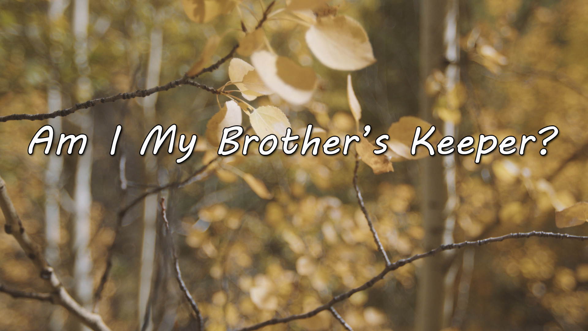 Crosspoint Church Online